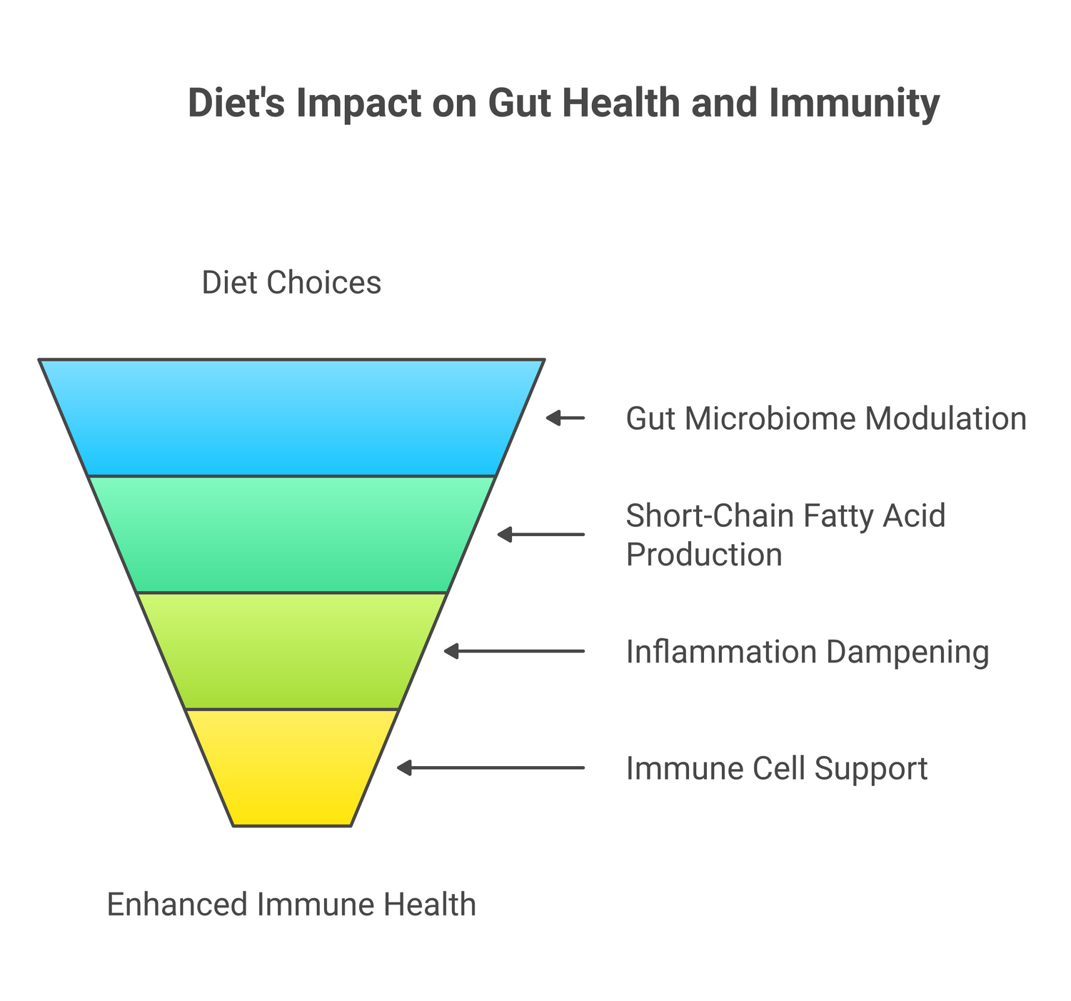 Infographic about boosting gut health and immunity: simple strategies for a stronger you