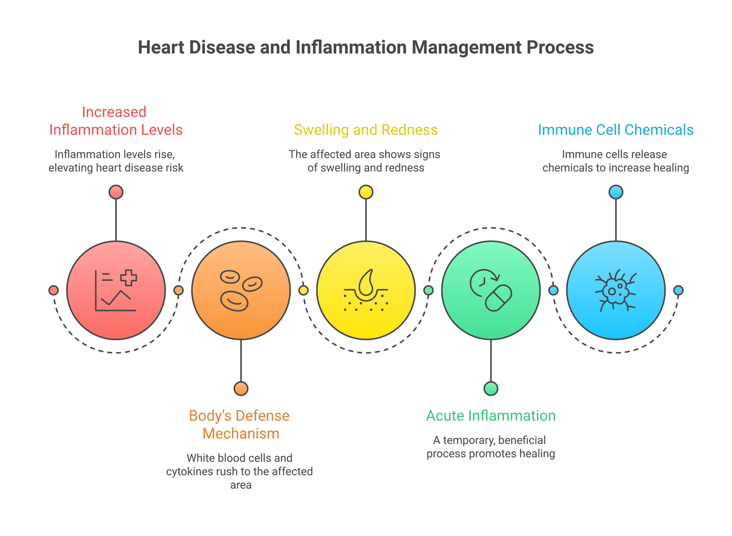 Infographic about heart disease and inflammation management