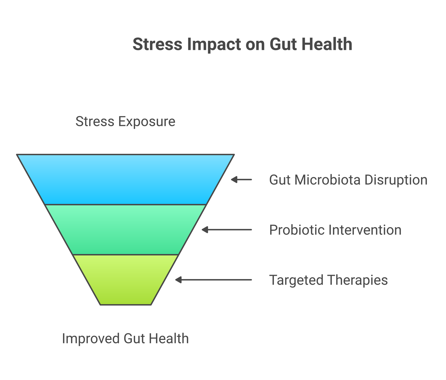 Infographic about how stress affects your gut health
