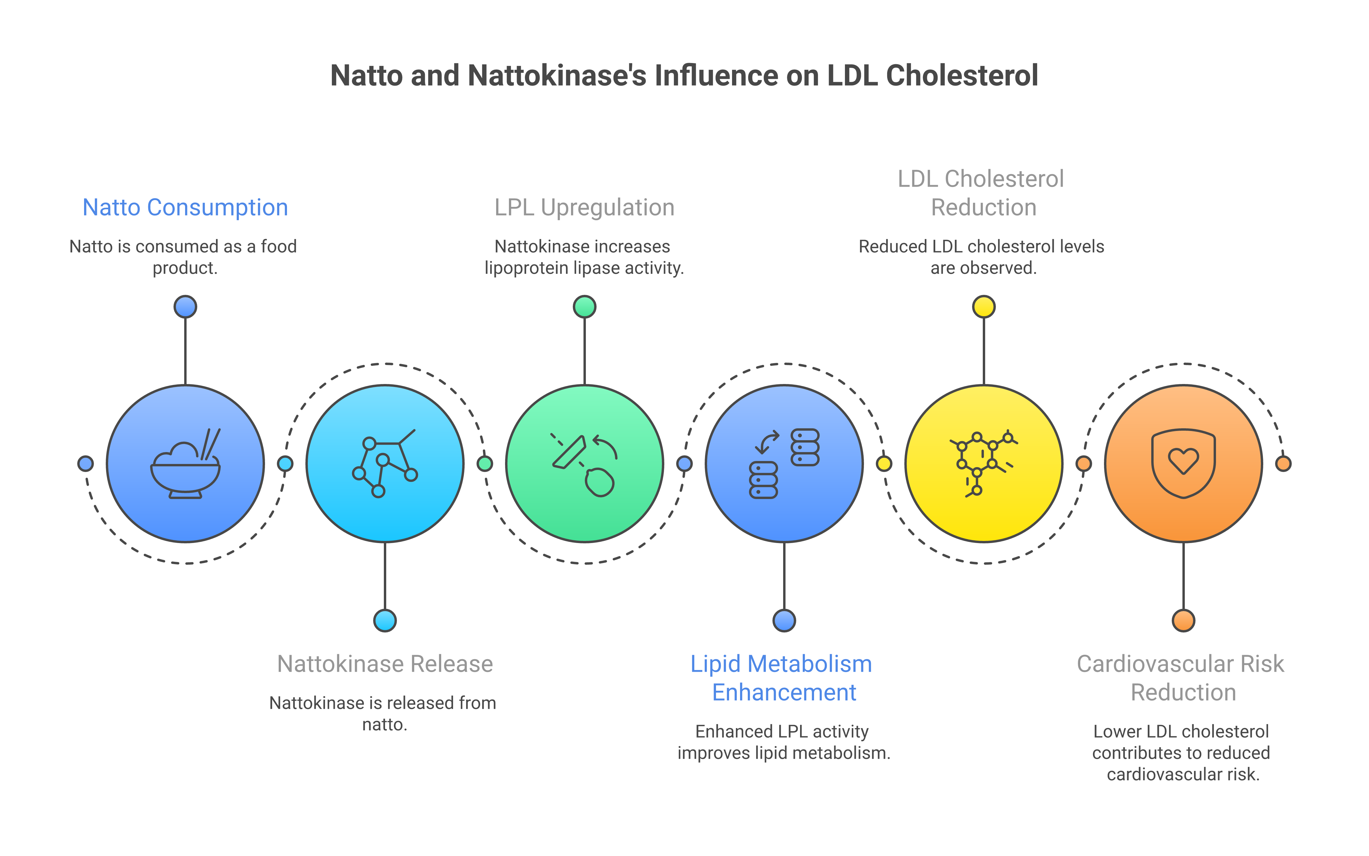Infographic about natto cholesterol