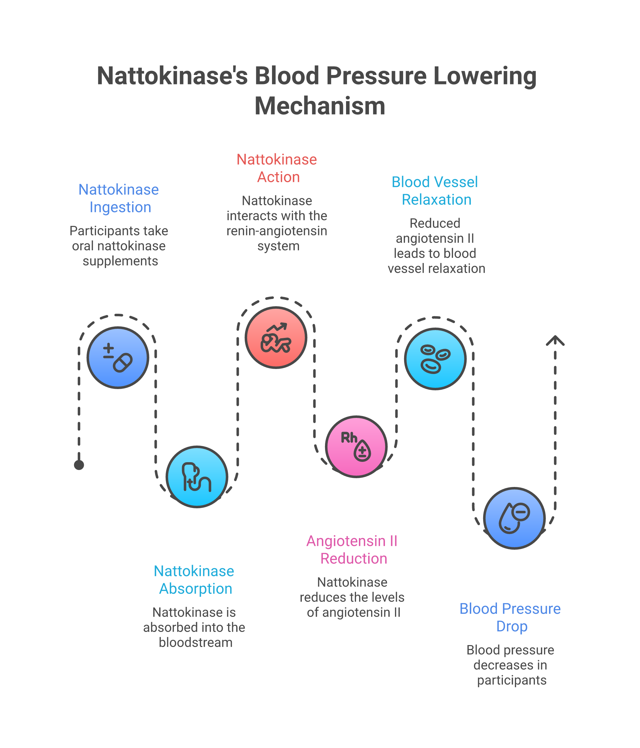 Infographic about nattokinase blood pressure: natto routines to naturally lower bp