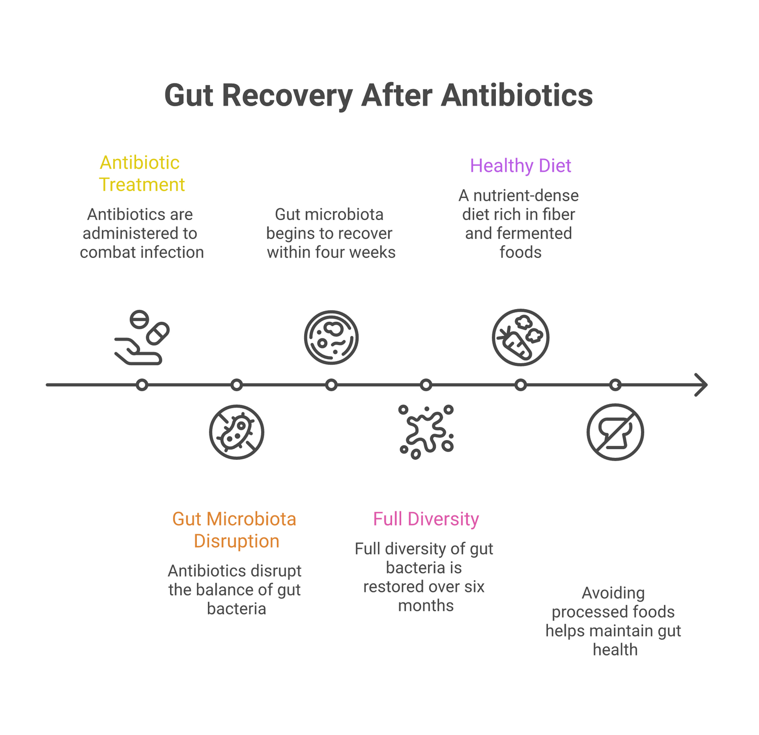 Infographic about effects of antibiotics on gut health: restoring balance after treatment