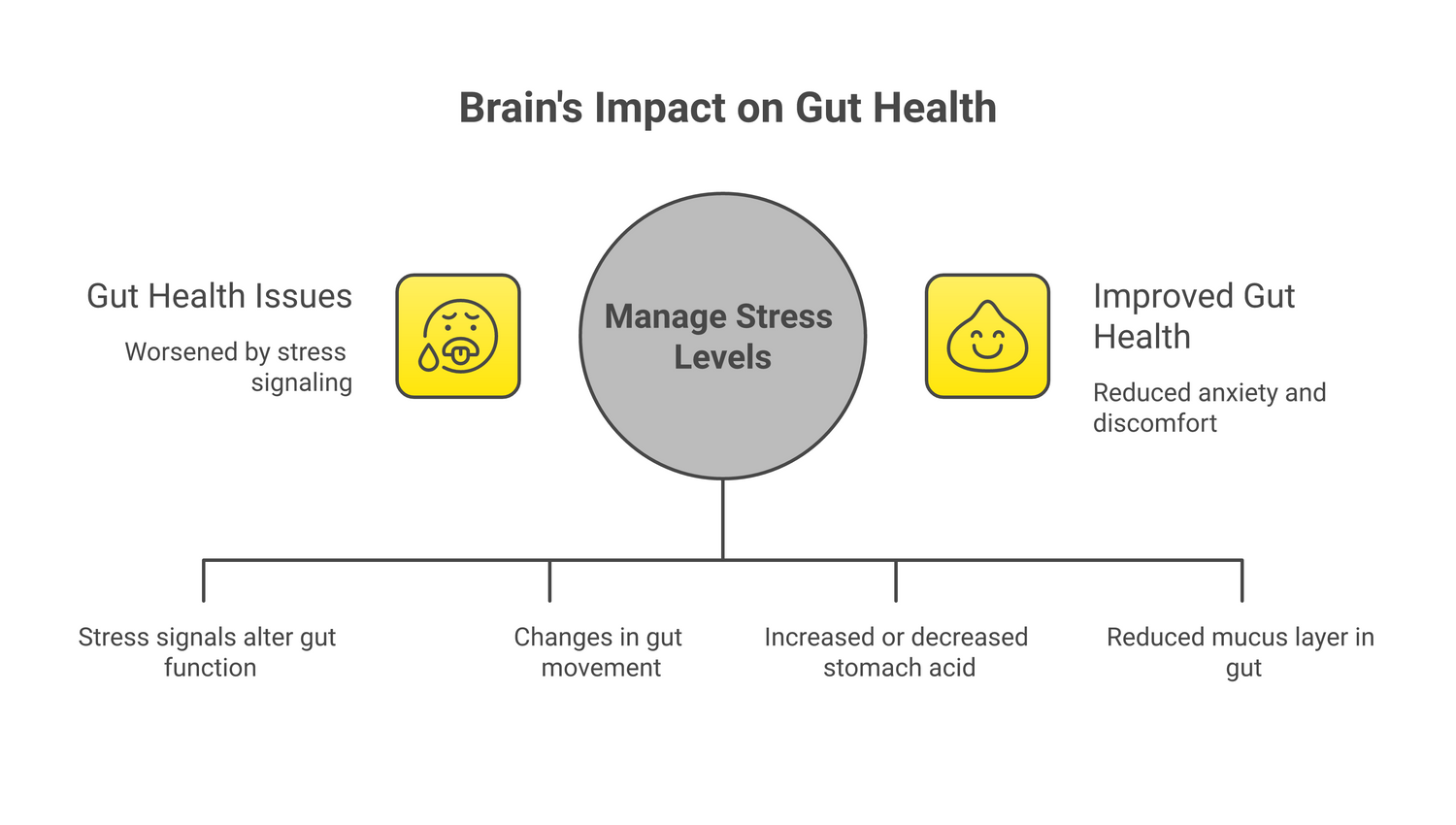 Infographic about the gut-brain connection: how your gut health affects your mental health