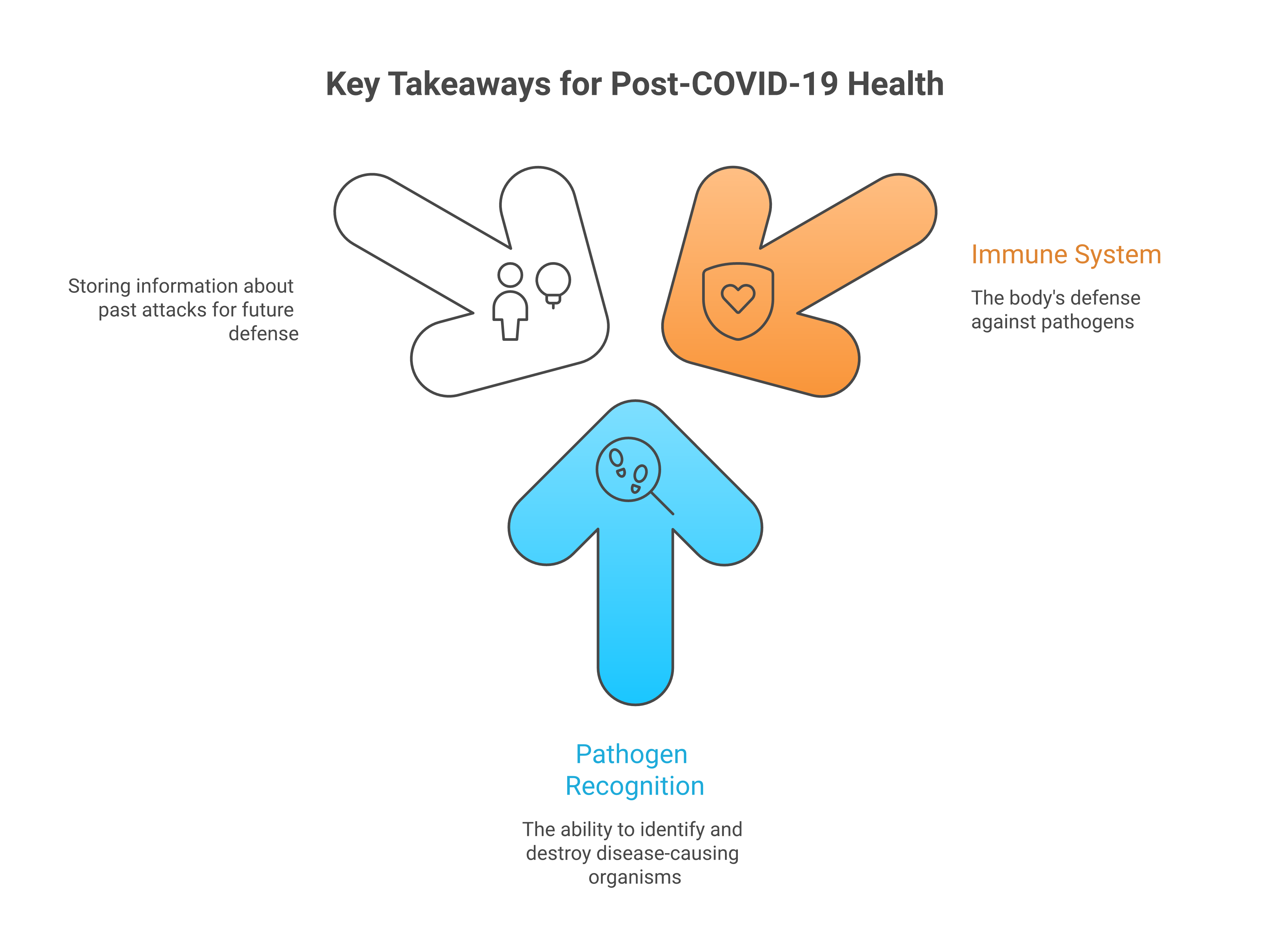 Infographic about win the post covid-19 fight!
