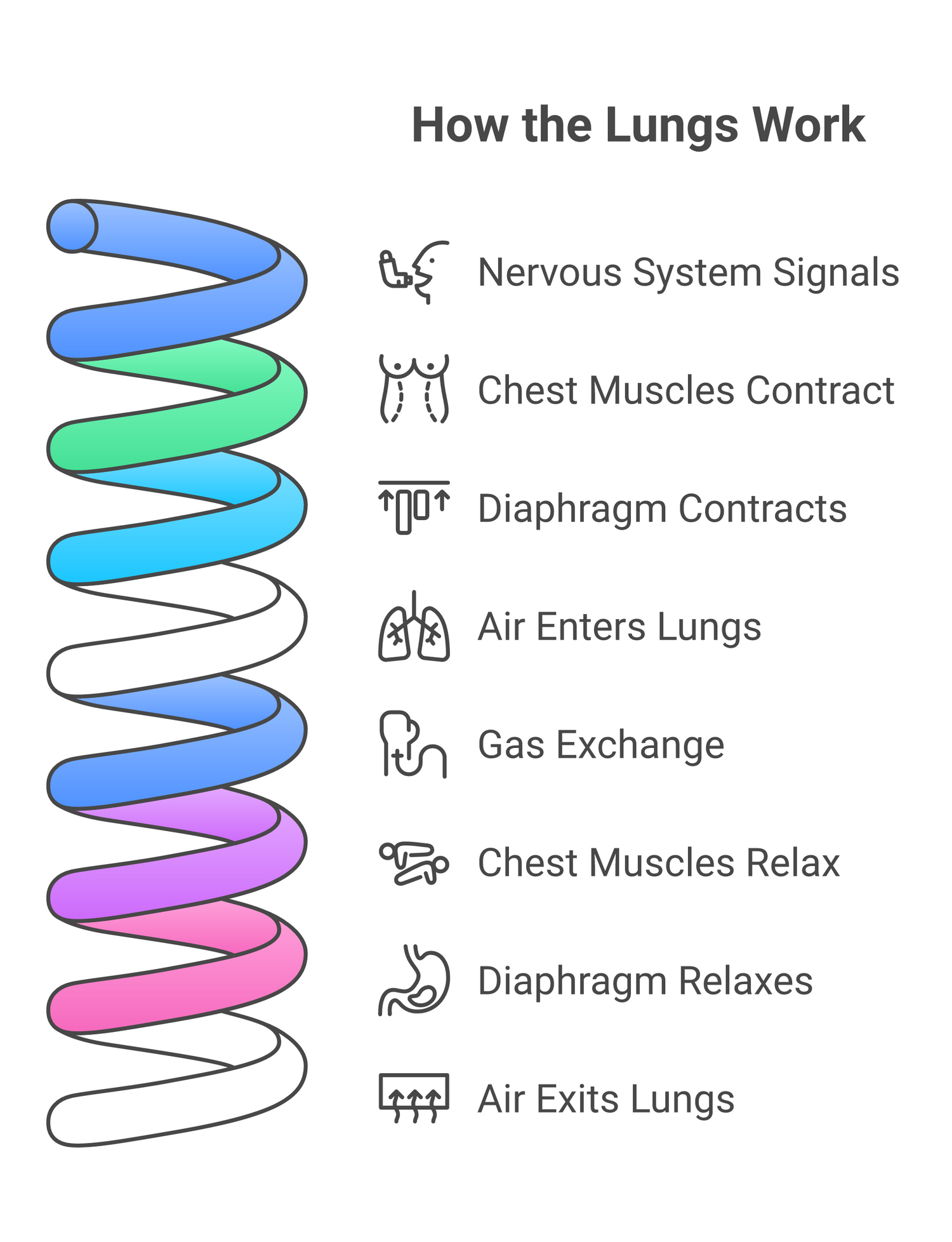 Infographic about 10 natural ways you can take care of your lungs