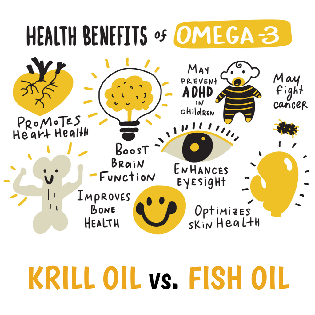 Part 1 - Krill Oil Basics: What You Need to Know