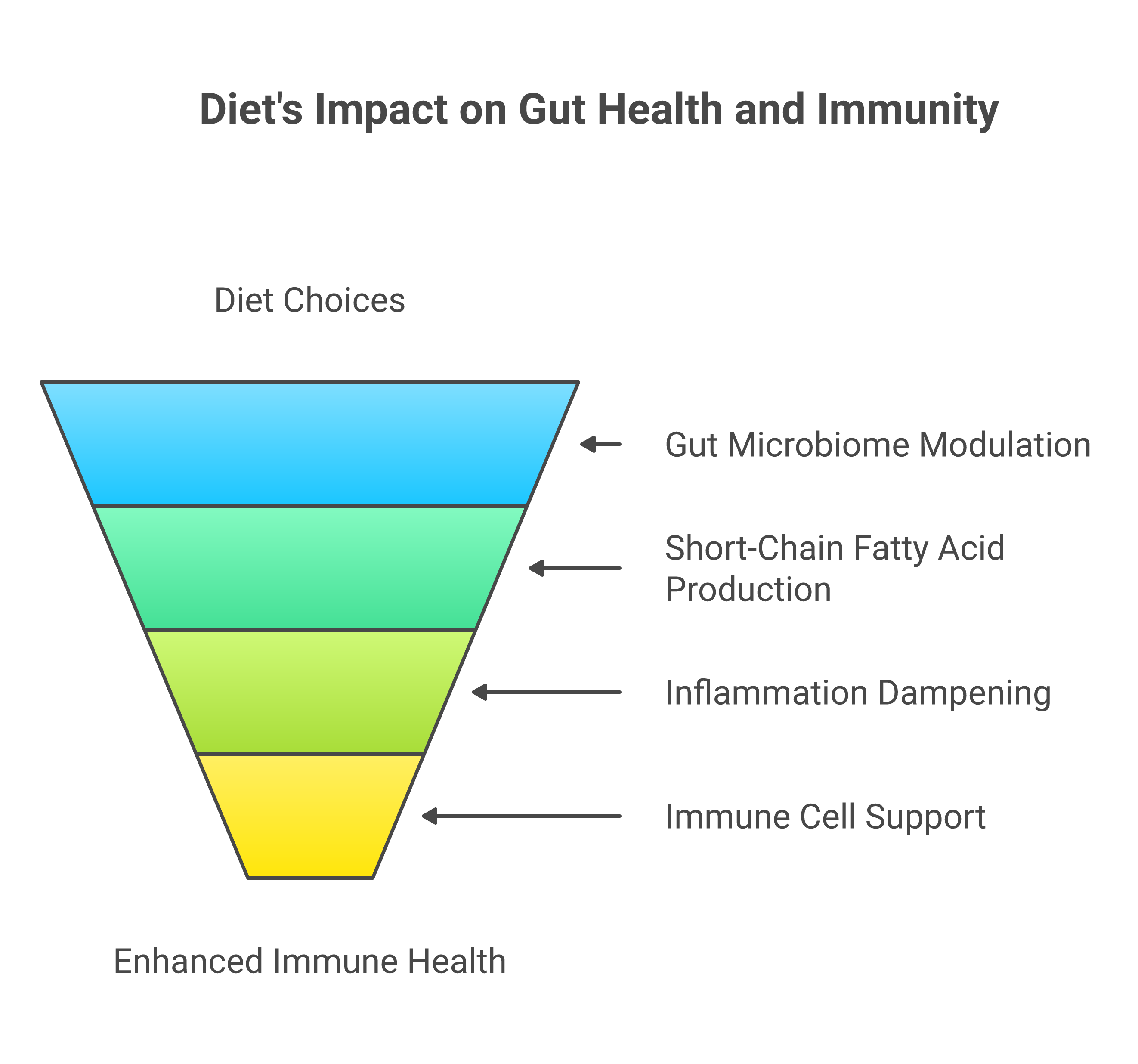 Infographic about boosting gut health and immunity: simple strategies for a stronger you