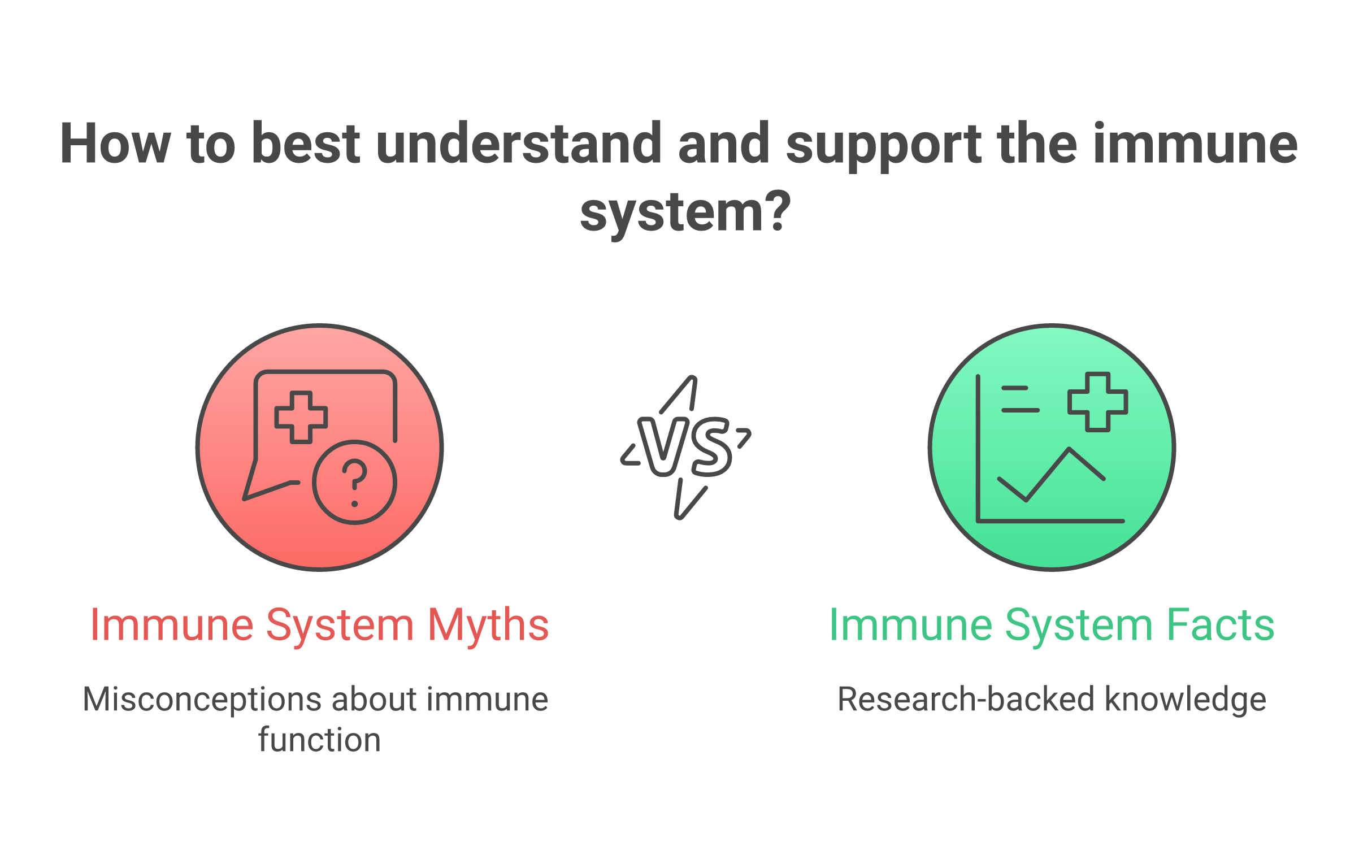 Infographic about immune system myths vs facts (2026)