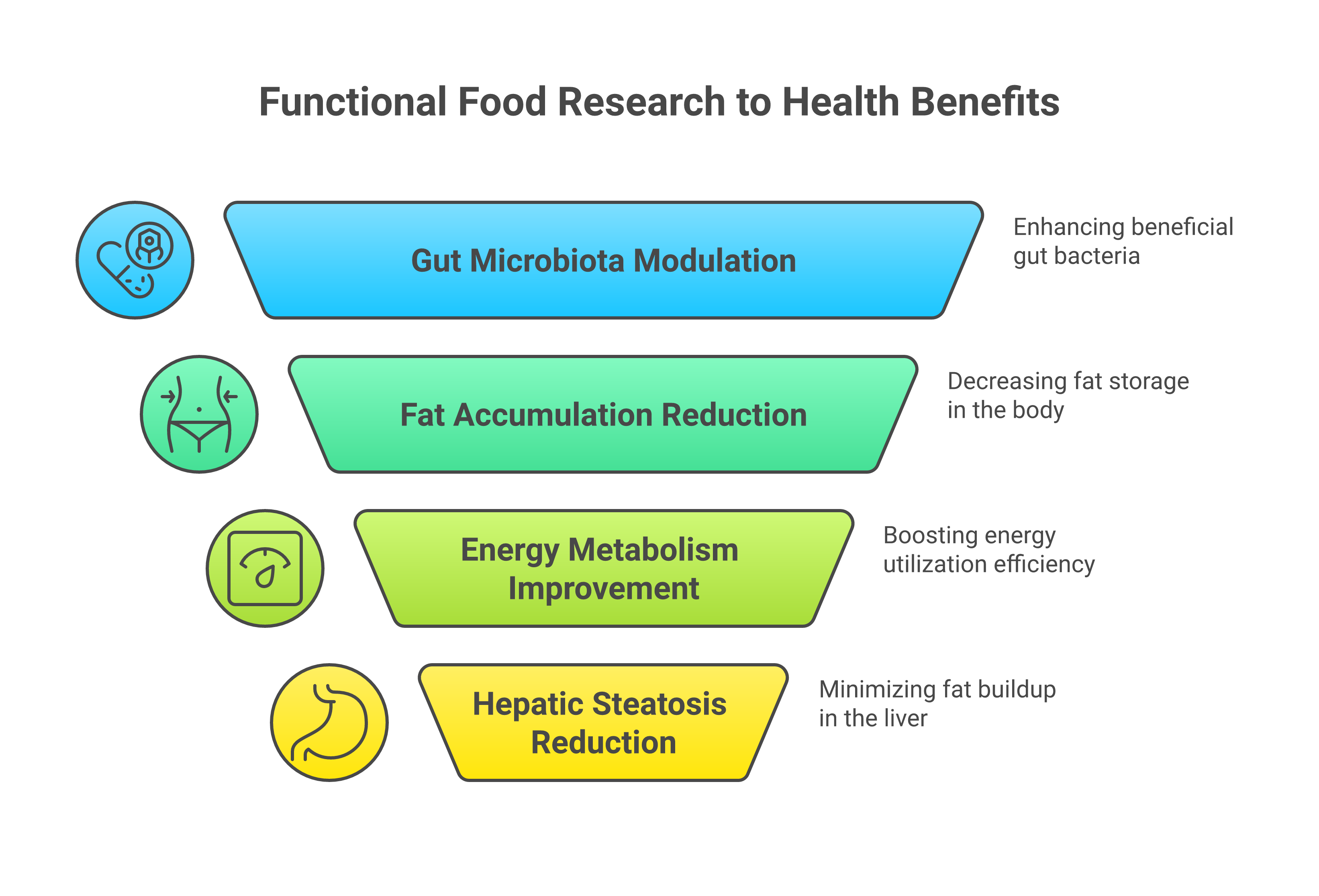 Infographic about functional food for metabolic disorders