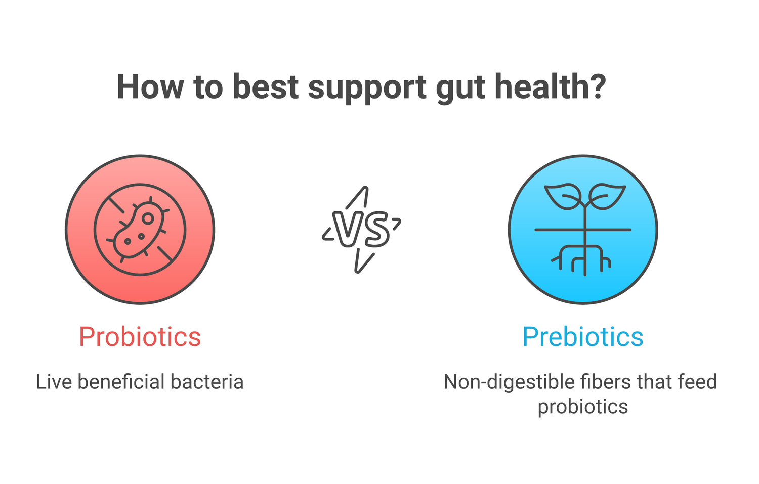 Infographic about probiotics vs prebiotics vs postbiotics (2026)