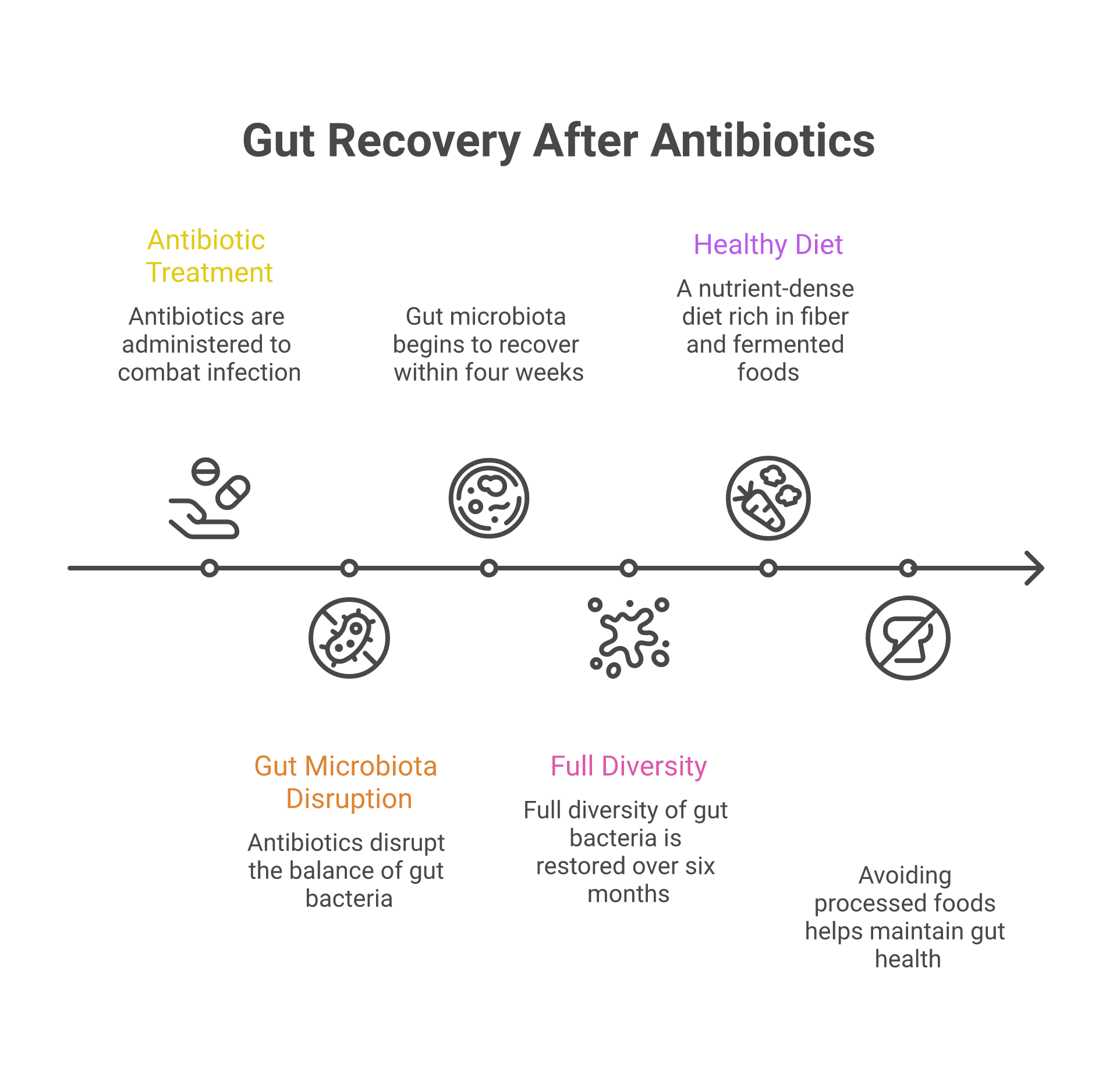Infographic about effects of antibiotics on gut health: restoring balance after treatment