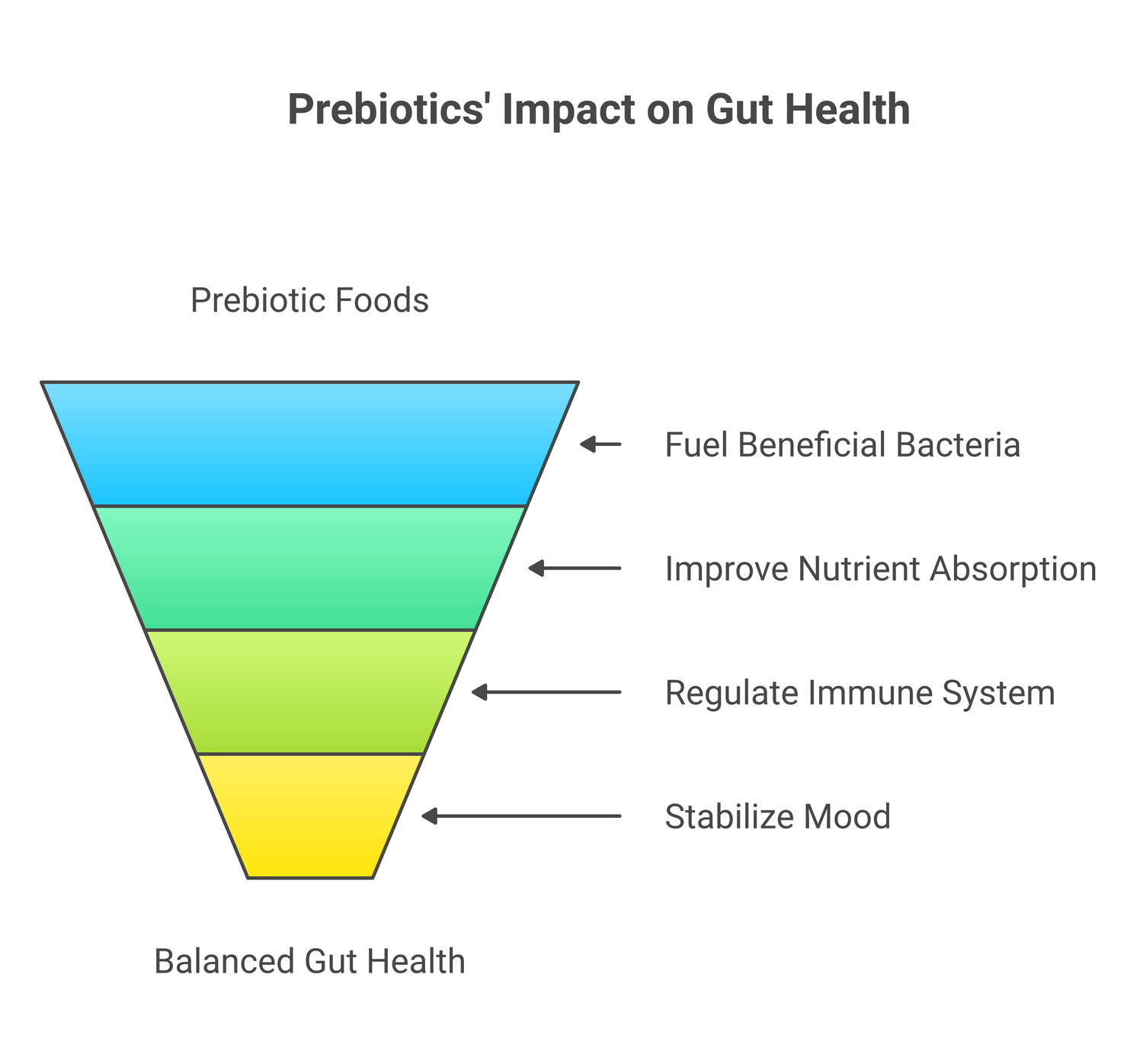Infographic about prebiotics gut health: the foundation of a balanced body and mind
