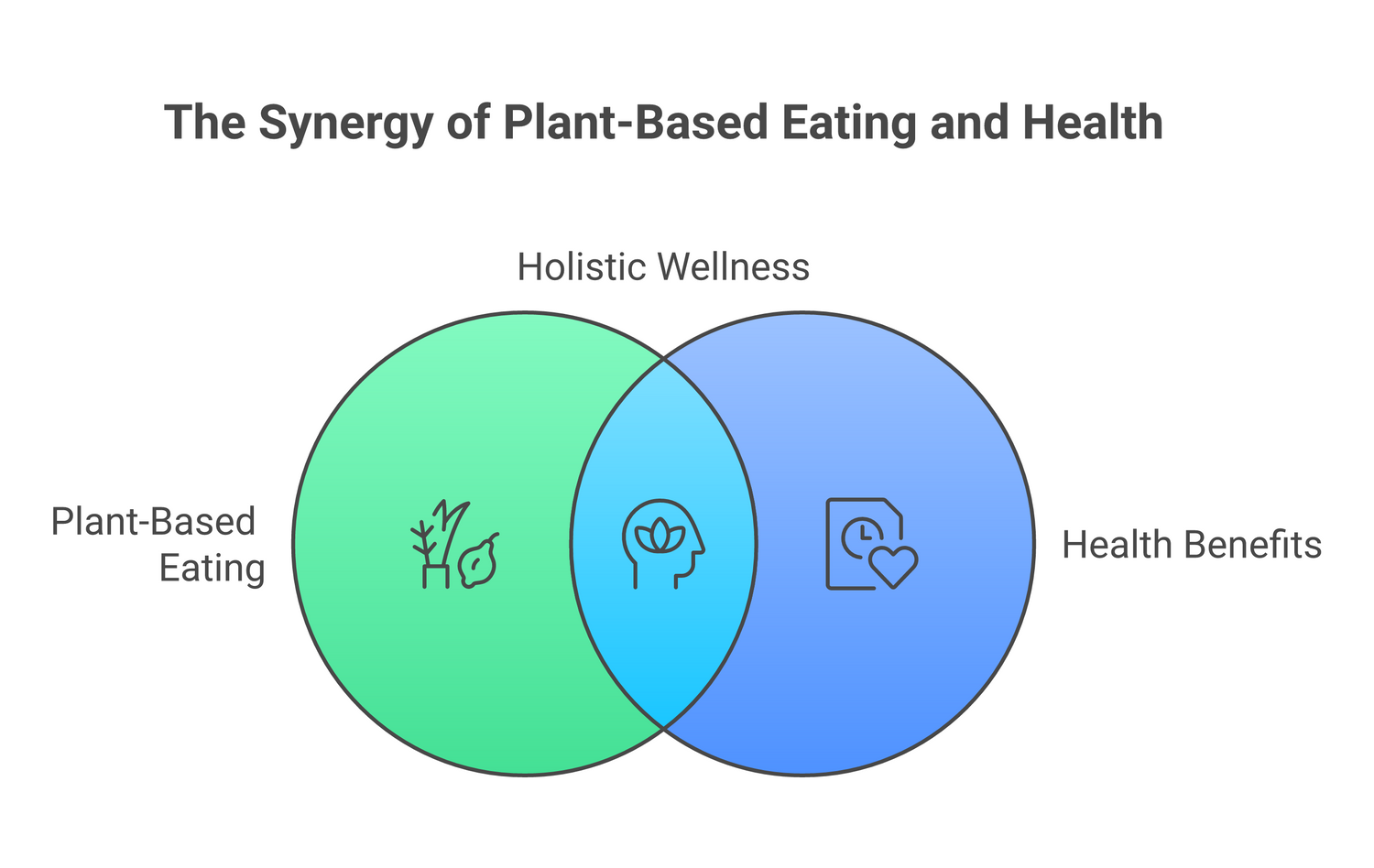 Infographic about types of plant-based diets